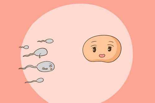 西安供卵联系电话,供卵助孕联系电话gvh