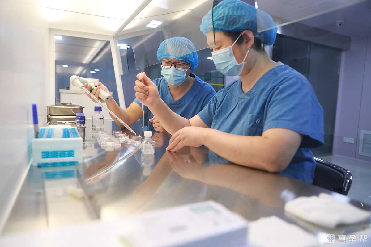 北京排名供卵机构有哪些，3家可以开展三代供卵试管婴儿助孕