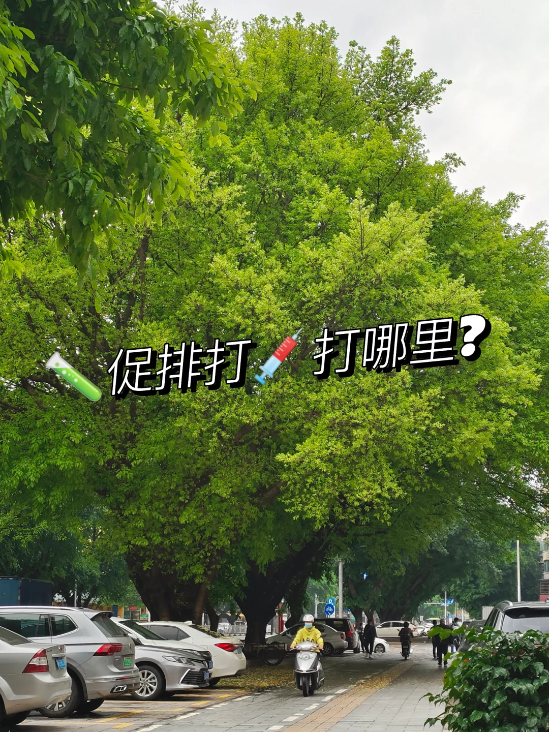 促排的方案有哪些