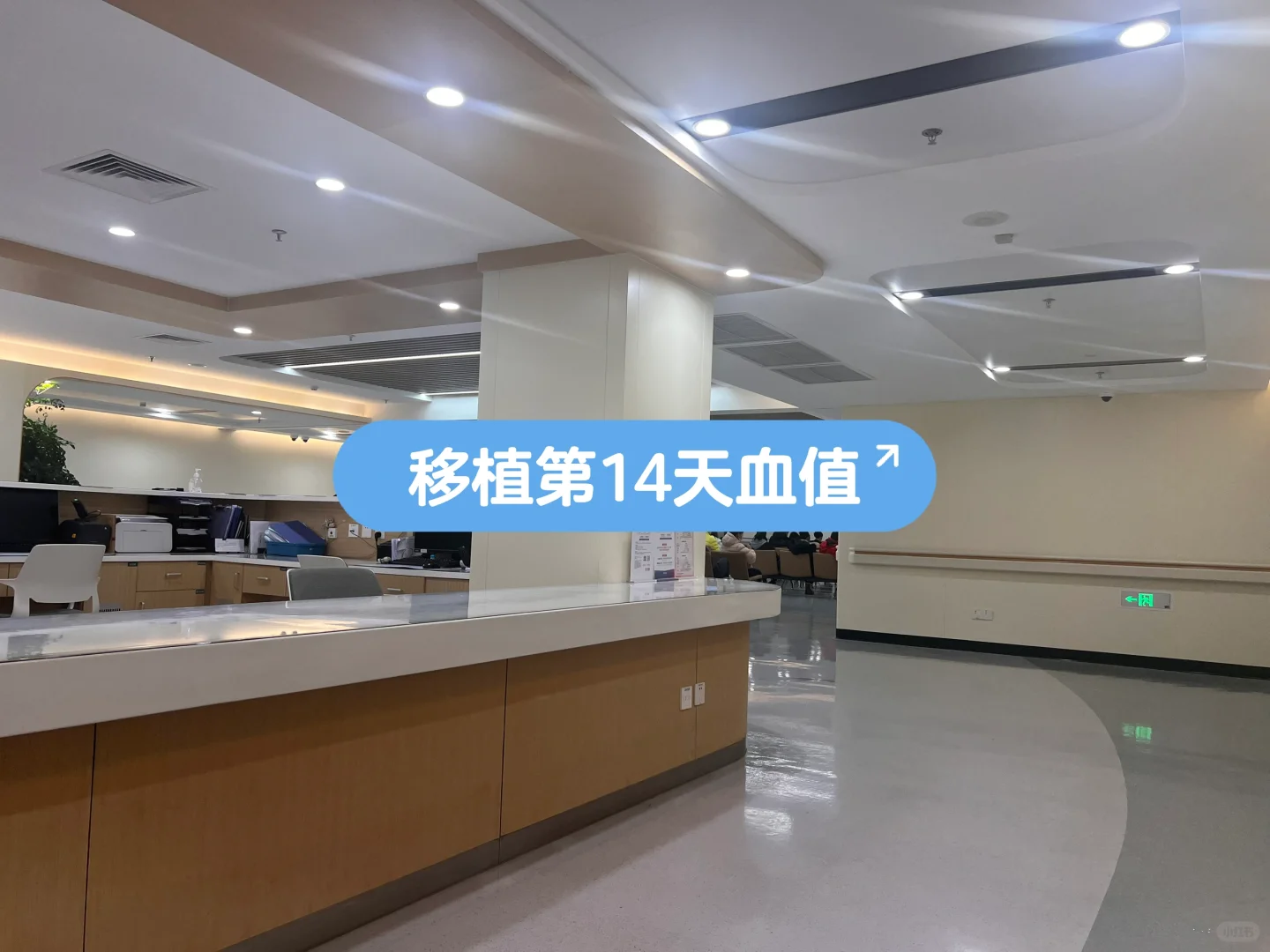 囊胚移植14天抽血