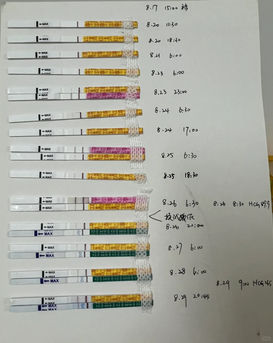 仁济试管日记12：囊胚移植第12天返院开奖